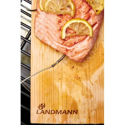 Landmann Selection BBQ rookplank ceder-mild, set van twee 14x30x1 cm 2