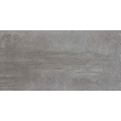 Wand- en vloertegel Grunge - Keramiek - Grijs - 30x60cm - Pakketinhoud 1,44m²