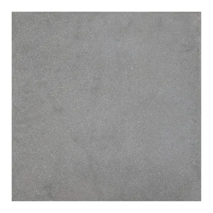 Dalle de terrasse Cobo Garden Ostende - béton revêtu - gris clair - 60x60x4,1cm - 0,36m² - par pièce 3