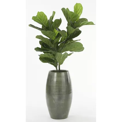 Vase Mica Decorations Lester - 30x30x50 cm - Vert 4