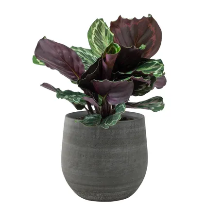 Steege Plantenpot/bloempot - keramiek - mystic grijs - D26 x H26 2