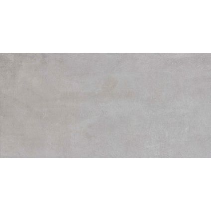 Wand- en vloertegel Grunge licht grijs 30x60cm