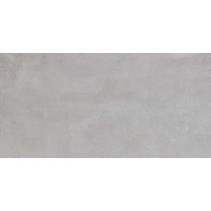 Wand- en vloertegel Grunge - Keramiek - Lichtgrijs - 30x60cm - Pakketinhoud 1,44m²