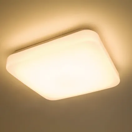 Philips plafondlamp LED Mauve wit 17W 4