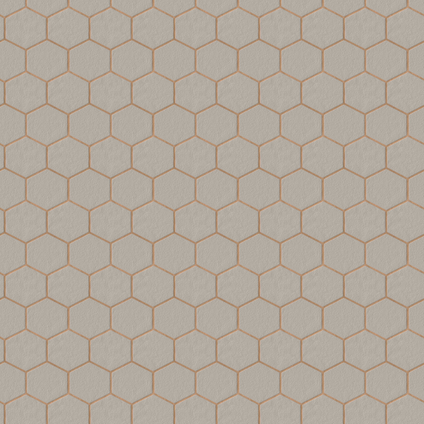 Decomode Vliesbehang Hexagon Taupe