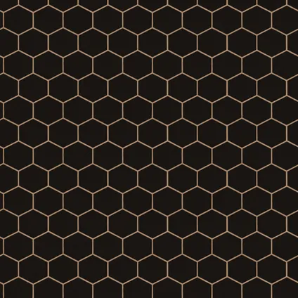 Decomode vliesbehang Hexagon zwart 2
