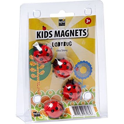 Kids Magnet magneetset lieveheersbeestje 4stk