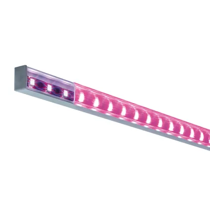 Paulmann profil carré pour ruban LED avec diffuseur 2m 5