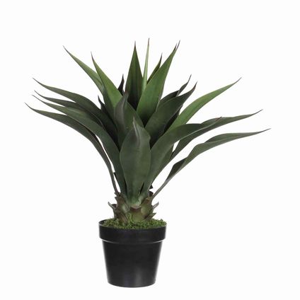 Mica Decorations agave in pot maat in cm: 60 x 50 - GROEN