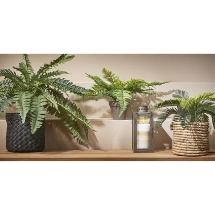 Mica Decorations Kunstplant - cycas palm - in pot - 33 cm 3