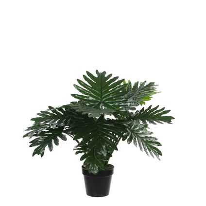 Mica Decorations philodendron in plastic pot maat in cm: 60 x 70 - GROEN