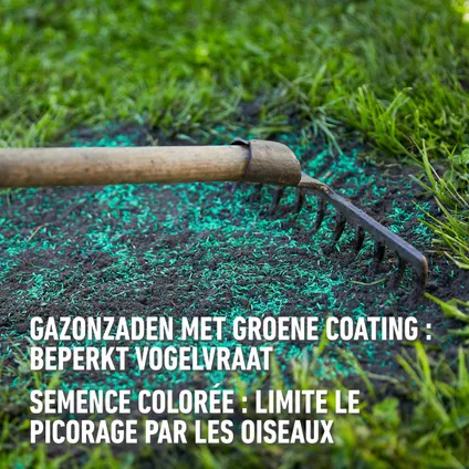 Compo gazonzaad Sport & Spel (25m²) 500g 11