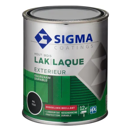 Sigma exterieur lak RAL7016 hoogglans 750 ml 3