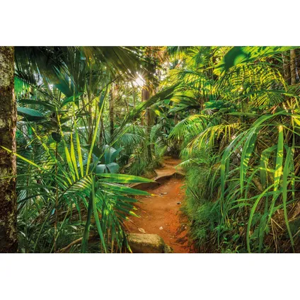 Sanders & Sanders fotobehangpapier jungle groen - 368 x 254 cm - 612138