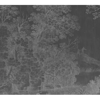 Vanilla lime fotobehang print 14178 antraciet bomen 300x270cm 2