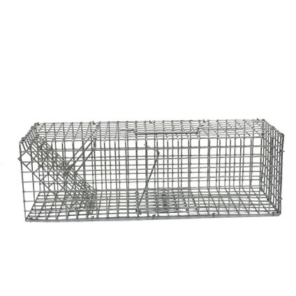 Cage piège à souris et rats Edialux 1 entrée