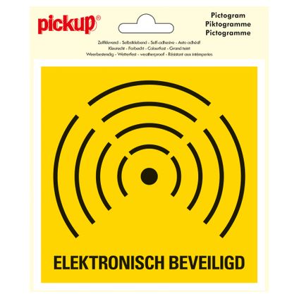 Pictogramme Pickup Elektronisch beveiligd - alarm 15x15cm