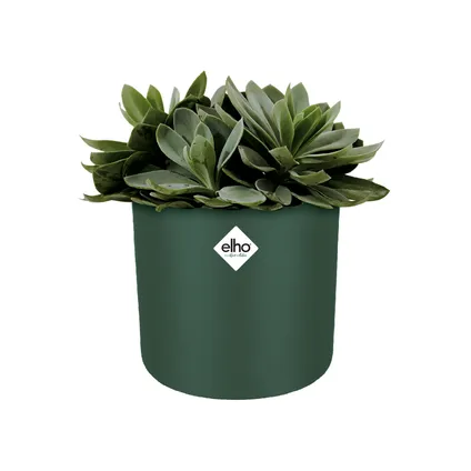 Pot de fleurs Elho b. for soft rond Ø18cm leaf green 3