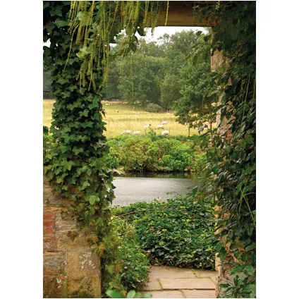 PB-Collection tuinschilderij Garden View Ivy 40x30cm