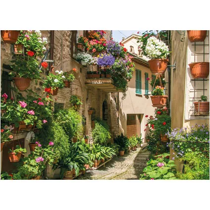 PB-Collection tuinschilderij Flower street 40x30cm