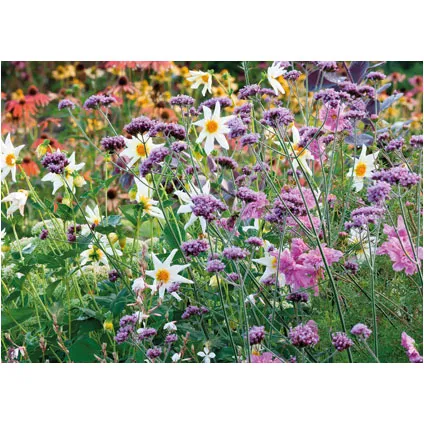 PB-Collection tuinschilderij Wild Flowers Purple 40x30cm