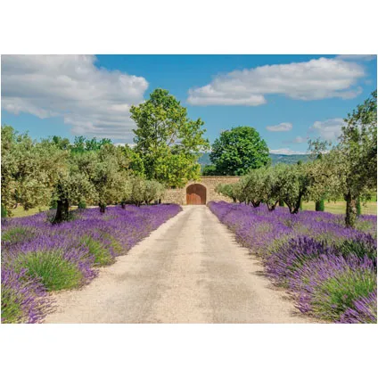PB-Collection tuinschilderij Lavender View Door 40x30cm