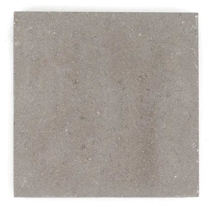 Cobo Garden - betontegel - grijs - 50x50x4,5cm - per stuk 2