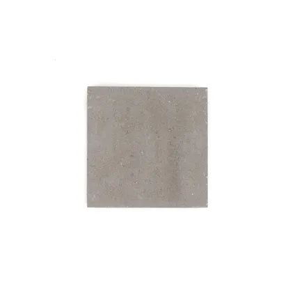 Dalle en béton Cobo Garden - gris - 50x50x4,5cm - par pièce 3