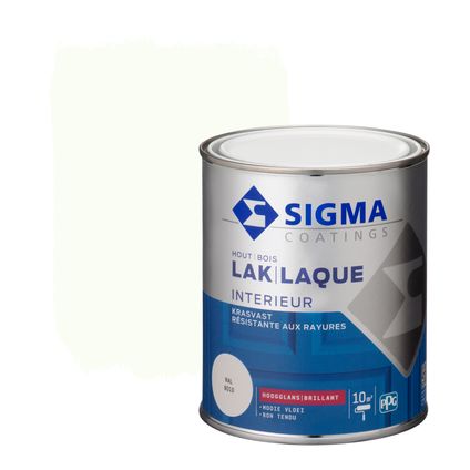 Opa verontreiniging fles Sigma lak interieur glans RAL 9010 0,75L