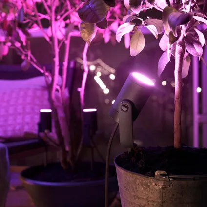 Philips Hue Lily tuinspot - wit en gekleurd licht - 1-spot - zwart - LowVolt - uitbreiding 7