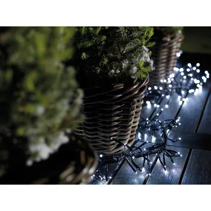 Kerstverlichting (Lumineo) Cluster Twinkle 448 LED lampjes koel wit 3m 2
