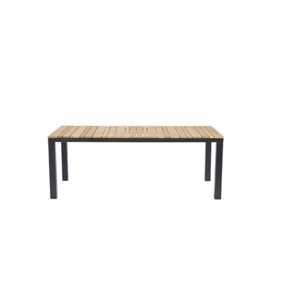 Table de jardin Central Park Limoux teck/aluminium 215x100 2