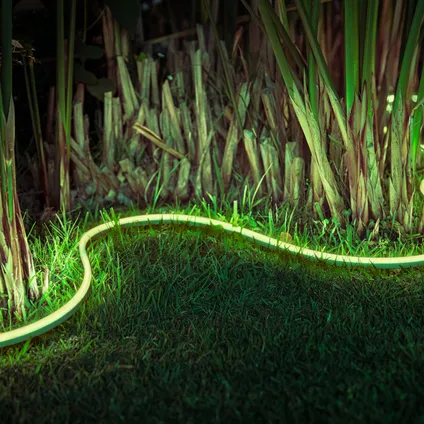 Philips Hue LightStrip Outdoor White and Color Ambiance 2M 12