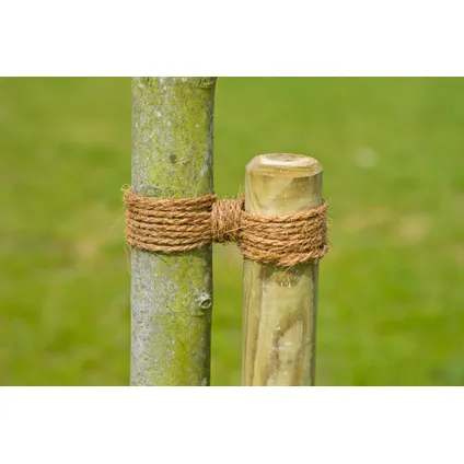 Nature kokostouw kastanjebruin Ø3,5mm – 50m 2