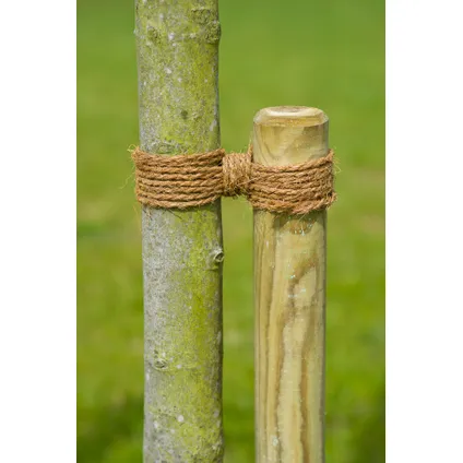 Nature kokostouw kastanjebruin Ø3,5mm – 50m 3