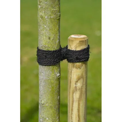 Nature kokostouw zwart Ø3,5mm - 50m
 3