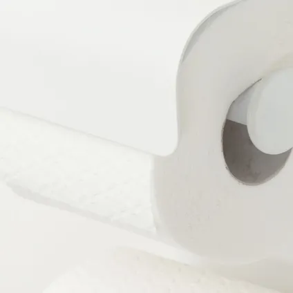 Porte-rouleau papier toilette Sealskin Brix double blanc 5