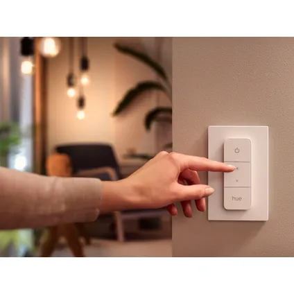 Philips Hue Dimmer Switch 4