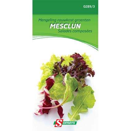Somers zaad pakket mengeling rauwkost groenten 'Mesclun'
