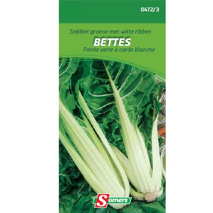 Sachet graines poirée verte à carde blanche Somers 'Bettes'