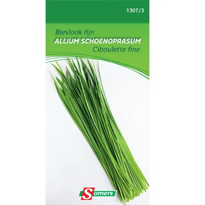 Somers zaad pakket bieslook fijn 'Allium Schoenoprasum'