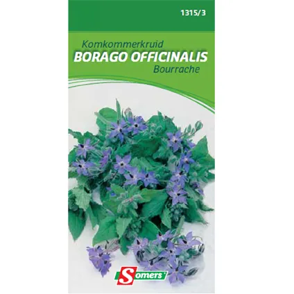 Somers zaad pakket komkommerkruid 'Borago officinalis'