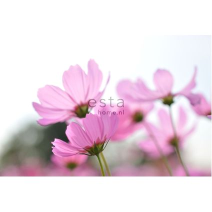 ESTAhome fotobehang veldbloemen roze - 158009 - 418,5 cm x 279 m