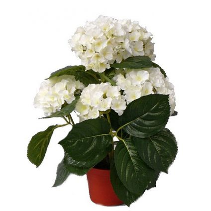 Bellatio flowers & plants Kunstplant - Hortensia - wit - 36 cm