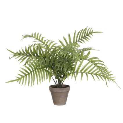 Mica Decorations Palm kunstplant/struik - groen - H53 x D45 cm