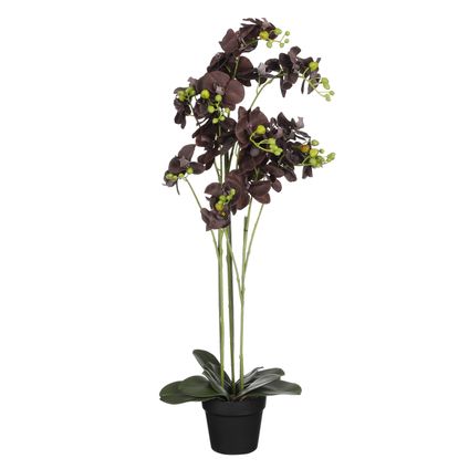 Mica Decorations Orchidee bloem kunstplant - zwart - H90 x B30 cm