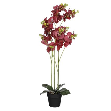 Mica Decorations Orchidee bloem kunstplant - rood - H90 x B30 cm