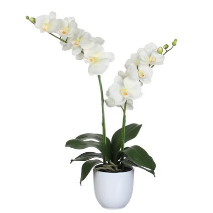 Mica Decorations Orchidee bloem kunstplant - wit - H66 x B38 cm