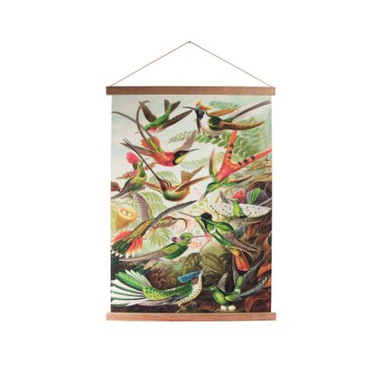 Kolibries - 80x60 cm